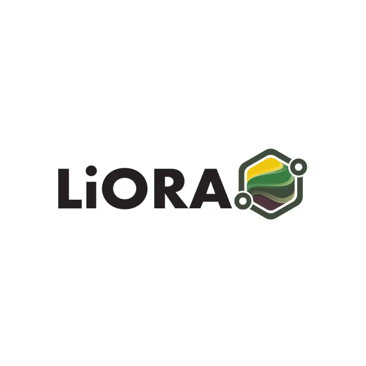 Logo for LiORA by EMS